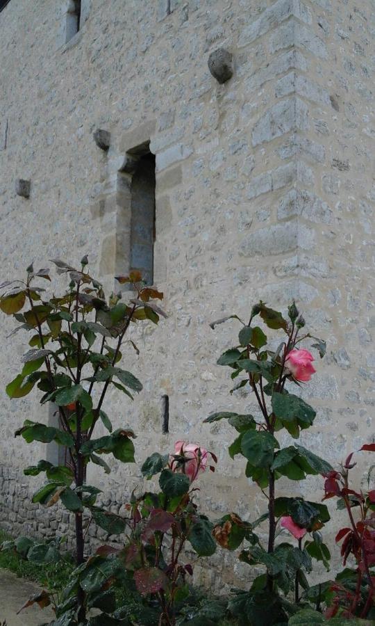 Casa Torre Cantoblanco Barron المظهر الخارجي الصورة